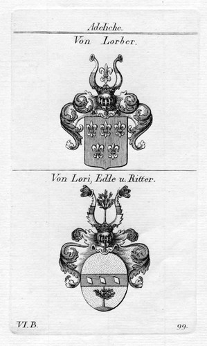 Lorber de lori nobles - lorber,