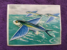 Image publicitaire chocolat Cantaloup-Catala  années 50 - album n°4