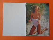 Calendrier poche pin up - calendrier,