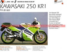 KAWASAKI KR1-S 250 ( KR 1 S