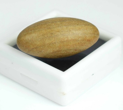 Gram shiva lingam 45 - lingam, 1.45