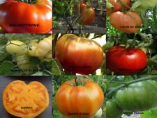 LOTS DE 5 SACHETS DE 20 GRAINES DE TOMATE ANCIENNE BIO(ANANAS,ANDINE) 9 VARIÉTÉS