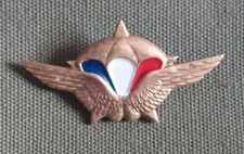 Insigne parachutiste 1er - parachutiste, rcp