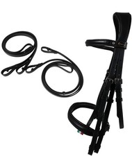 Bridon pour la morsure et le