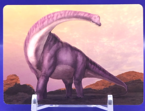 Cartes brachiosaurus - cartes,