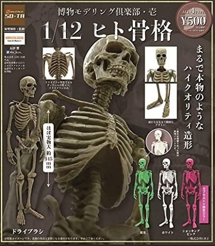 Museum modeling club 12 - modeling,