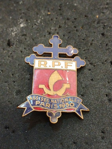 Insigne politique rpf - insigne,
