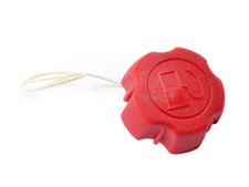 Bouchon de réservoir pour