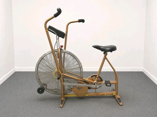 Vtg schwinn airdyne dual - vtg,