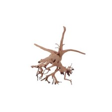 Aquarium Racine Déco