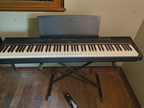 Yamaha 115 key - p, 88-key