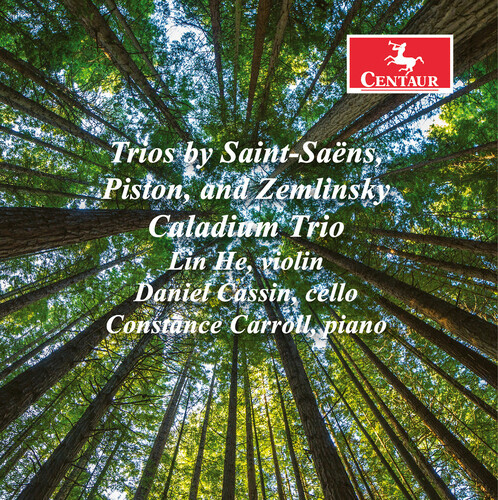 Caladium trio trios - caladium, [new