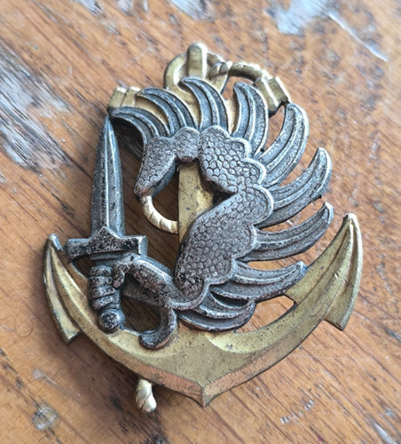 Insigne parachutistes troupes - insigne,
