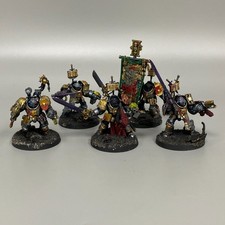 Gris Chevalier Paladin