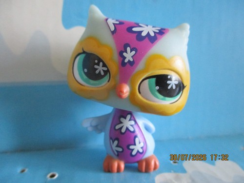Petshop chouette hibou - petshop, /