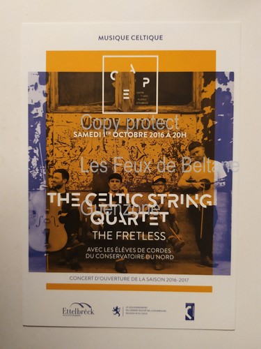 Concert the celtic string - the,