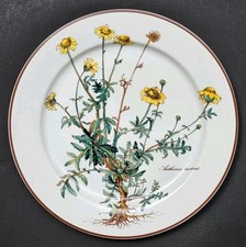 Sublime ASSIETTE PLATE signée