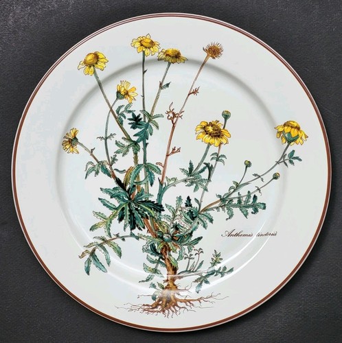 Sublime assiette plate - assiette, signée