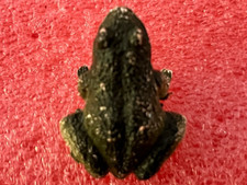 PRIOR La GRENOUILLE série POISSON AQUARIUM de 1971 Figurine Plastique Biscotte