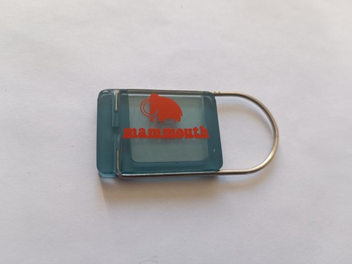 Rare porte clés enseigne - porte,