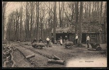 CPA Fougères, Hutte de Sabotiers dans la Forêt, Holzschuhmacher 