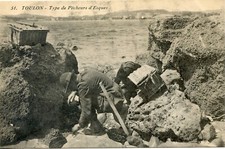 CARTE POSTALE / LE VAR / TOULON TYPE DE PECHEUR D'ESQUES