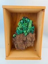 ✨ Cadre Mural Naturel en Bois Sculpté Signé K'ROOL 24cm Ecorce Arbre Made in FR✨