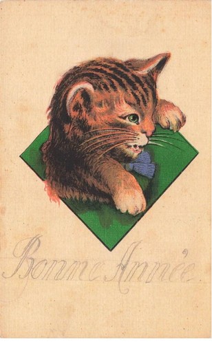 Mikifp9 002 chat roux tigre - mikifp9-002-,