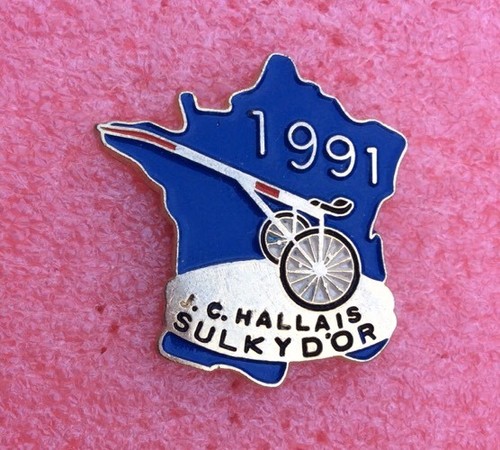 T07 pins cheval hallais - t07,