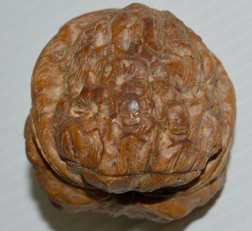 Belle noix sculptee - -belle, chine