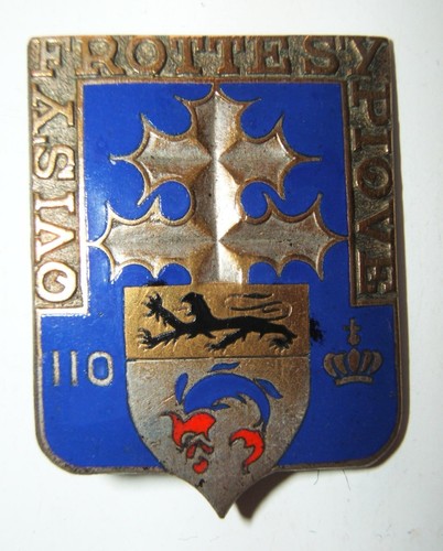 Insigne 110 regiment - insigne,