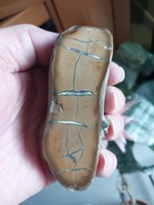 333. Septaria A Pyrite Et