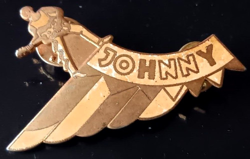 Johnny hallyday pin aile - johnny,