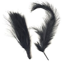 Plumes Anciennes 1900 2