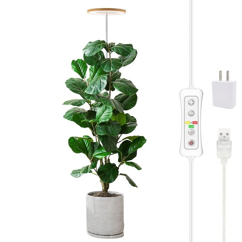 Plant grow light led growing - plant,