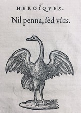Autruche 1557 Oiseaux Duc de