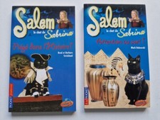 Lot 2 Livres Salem le chat de