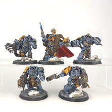 x5 Terminator Firstborn