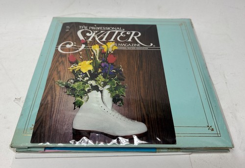Vintage glace patinage - vintage,