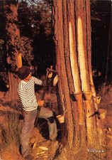 CPM Gemmeur au travail