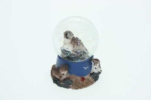 Boule brillante ohrenrobbe - ohrenrobbe, h