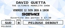 Place de concert David Guetta
