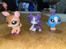 Lot Littlest Pet Shop #1676 1677 1678 du calendrier de l'avent 2010 Colley
