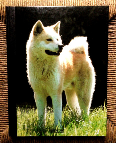 Livre mon compagnon chien - mon,