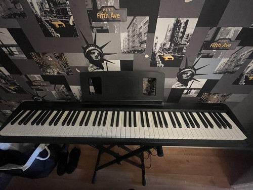 Roland touches piano - fp-10,