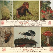 buvard chocolat cote d'or (en l'etat)