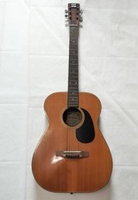 Guitare acoustique Elite