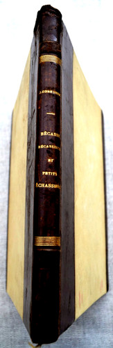 Bécasse bécassines et - bécasse,,