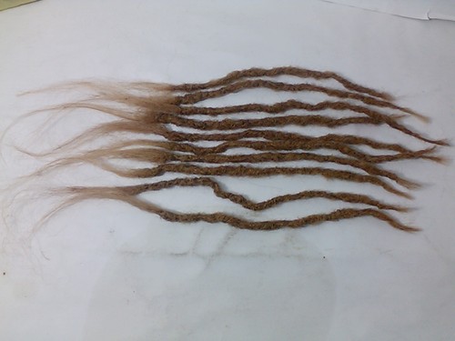 Locks cheveux humains 10 - cheveux,