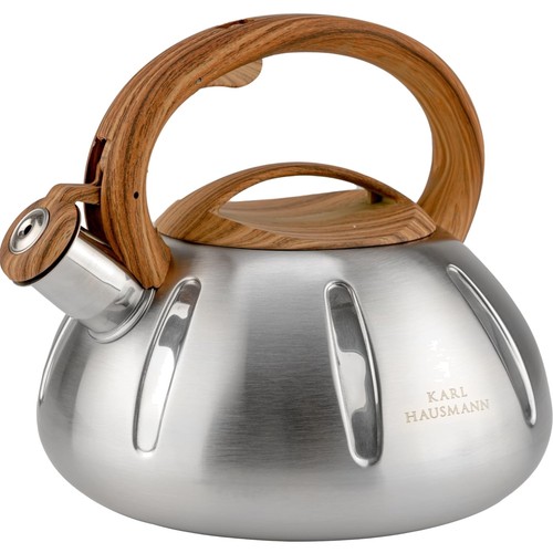 Bouilloire induction inox - bouilloire,